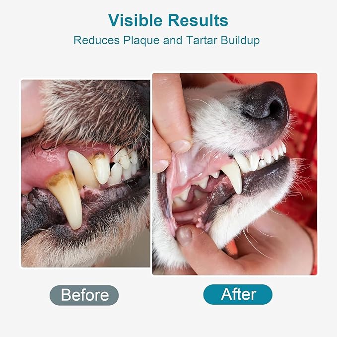 Dog Teeth Cleaning Powder 100g Fights Plaque & Tartar Freshens Breath All-Natural Ingredients for Dogs of All Breeds and Ages Easy to Use Dog Dental Powder