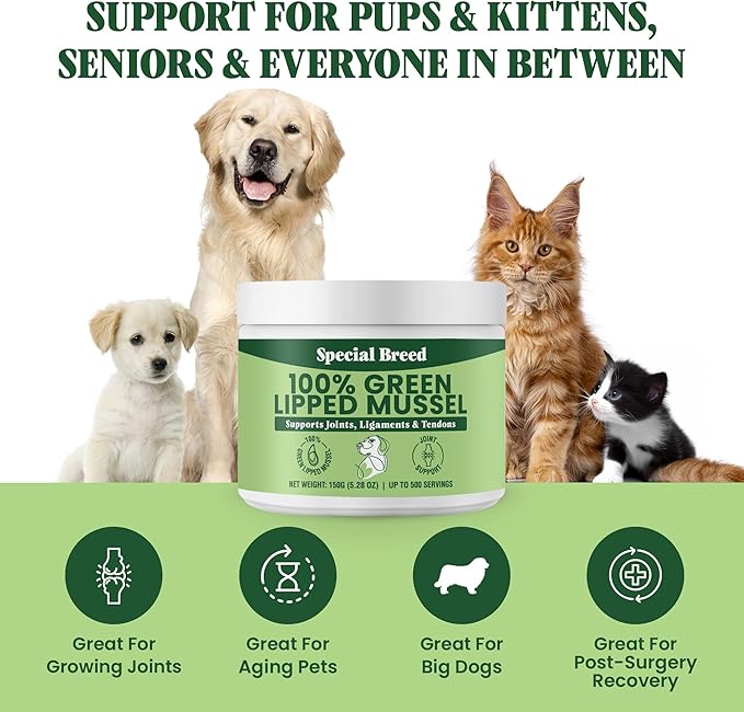 Green Lipped Mussel Powder for Dogs & Cats - 100% New Zealand Green Lipped Mussels - Natural Hip & Joint Supplement for Joints, Tendons, Ligaments, Muscles - 150 Grams - Up to 500 Servings
