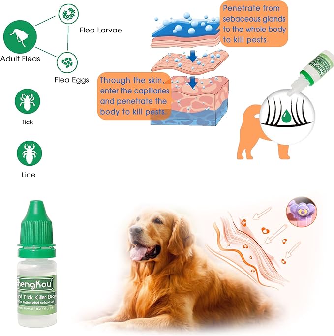 Flea and Tick Collar for Small Dog, Made with Natural Plant Based Essential Oil, Safe and Waterproof, Free Comb and Prevention Treatment Drop, 2x6 Month, 13.8 in (2 Packs)