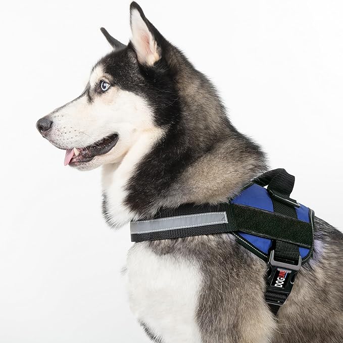 Dogline Dog Harness, Reflective No-Pull Adjustable Vest with Handle for Walking, Training, Breathable, No - Choke Harness for Small, Medium or Large Dogs Room for Patches Girth 27 to 34 in Cyan Blue