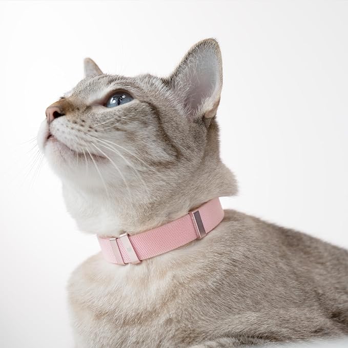 Safety Cat Collar - U.S. IDA Gold Awarding Design, Stretch Elastic Quick Release, Non Breakaway - Light Weight for Kitten, Neck Fit 5.9'-11.8' for All Small Large Cat,S(Sierra Blue)