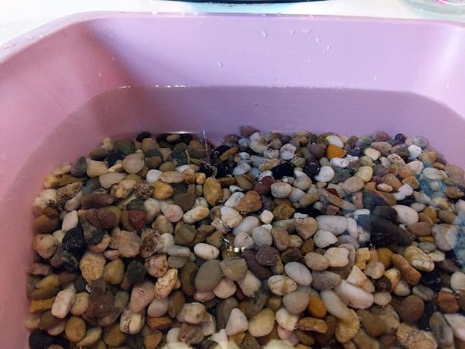 River Rock Stones, Natural Decorative Polished Mixed Pebbles Gravel,Outdoor Decorative Stones for Plant Aquariums, Landscaping, Vase Fillers (10 LB, Mixed Colors)