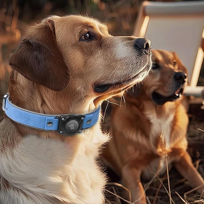 AirTag Dog Collar - Leather Dog Collar with Air Tag Holder | IPX8 Waterproof, Reflective, High - End, Adjustable Soft Padded | Dog GPS Tracker Collars Fit for Medium Large Dogs (Blue, XL)