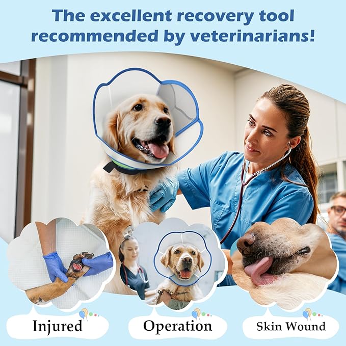 Hard & Heavy Plastic Dog Cone Collar Alternative for Extra Large Dogs(Adult Lab Golden GSD), Pet Neck Head Protective Cone Anti-Lick, Adjustable Elizabethan Recovery Collar Cone of Shame for Healing