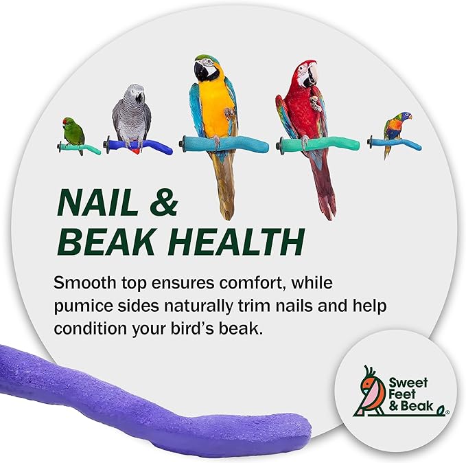 Safety Pumice Perch - Trims Nails and Beak - Promotes Healthy Feet - Safe Non-Toxic Bird Supplies for Bird Cages - X-Large 14"