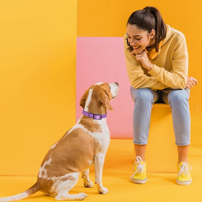 Dogline Biothane Waterproof Dog Collar Strong Coated Nylon Webbing with Black Hardware Odor- Proof for Easy Care Easy to Clean High Performance Fits Small Medium or Large Dogs, Amethyst Purple