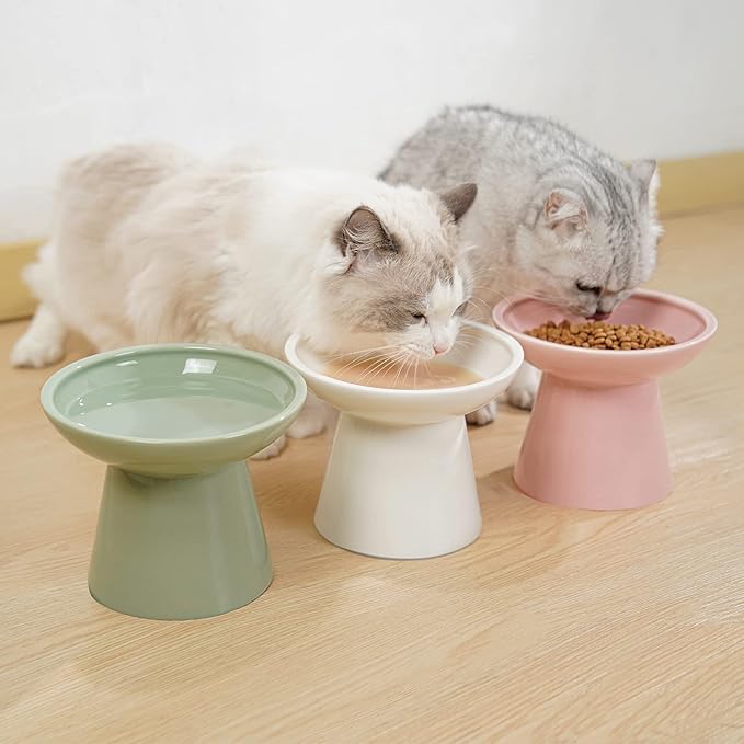 Extra Wide Elevated Ceramic Cat Food Bowl - 6.2" Shallow Dish for Whisker Fatigue Relief, 5" Height for Easy Feeding, Lead & Cadmium Free, Durable Raised Cat Food Bowls, Sage Green