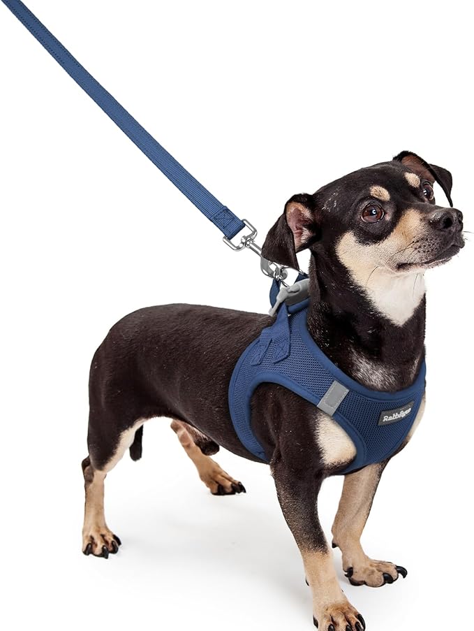 rabbitgoo Dog Harness Small Sized and Leash Set, Step in Soft Light Puppy Vest, Breathable Mesh Pet Harness, Reflective for Outdoor Safe Walking, Navy Blue XXXS