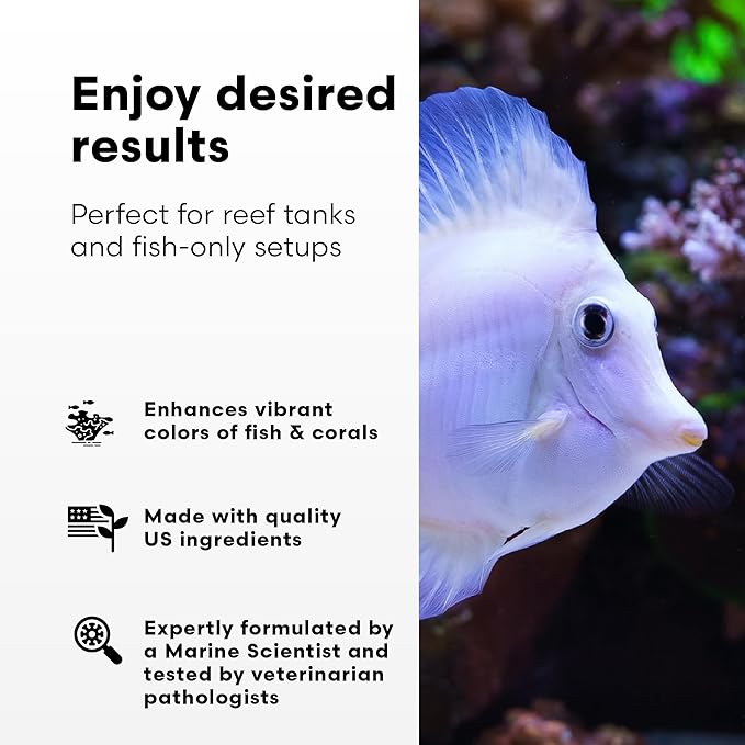 Brightwell Aquatics Rēplenish – Premium Trace & Minor Element Supplement for Marine Aquariums, Supports Healthy Fish, Corals, and Invertebrates, 250 ml
