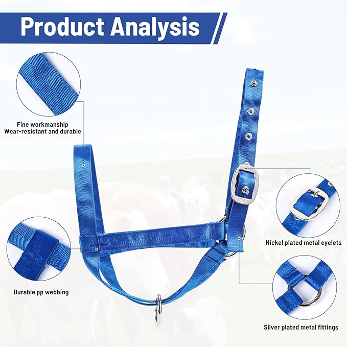 XUANNIAO Easily Adjustable Figure 8 Cow Halter, Double-Ply Premium Livestock Cattle Halters, Colorful Cow Utility Calf Halter with Leading Rope for Miniature Horse Donkey Goat Foal (Small, Blue)