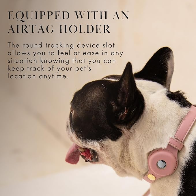 Cupertino Dog Collars, Harnesses & Leashes Made from Vegan Leather with Dog Tracker Device Holder Adjustable Dog Collar (Large, Pink)