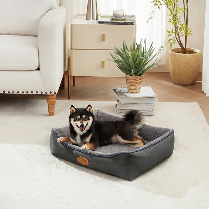 Orthopedic Dog Beds for Medium Dogs, Durable Egg Crate Foam Sofa Dog Bed wit Washable Removable Cover,Waterproof Lining,Pet Bed for Large Dogs (Dark Grey-Velvet, 26.4" L x 21.7" W x 6.2" Th)