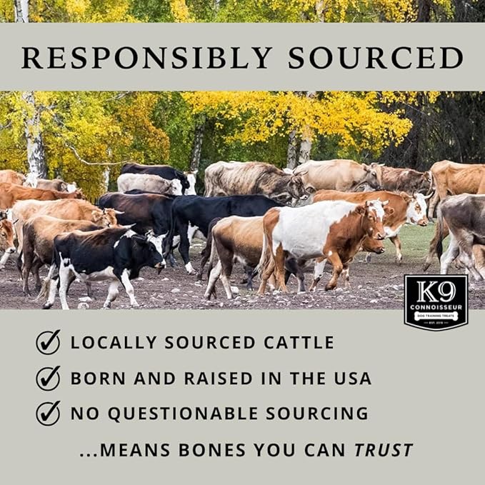 K9 Connoisseur Single Ingredient Dog Bones Made in USA for Small Breed Dogs All Natural Meaty Beef Chew Treat Bone Best for Puppies Up to 15 Pounds (8 Pk of 5 Ribblets)