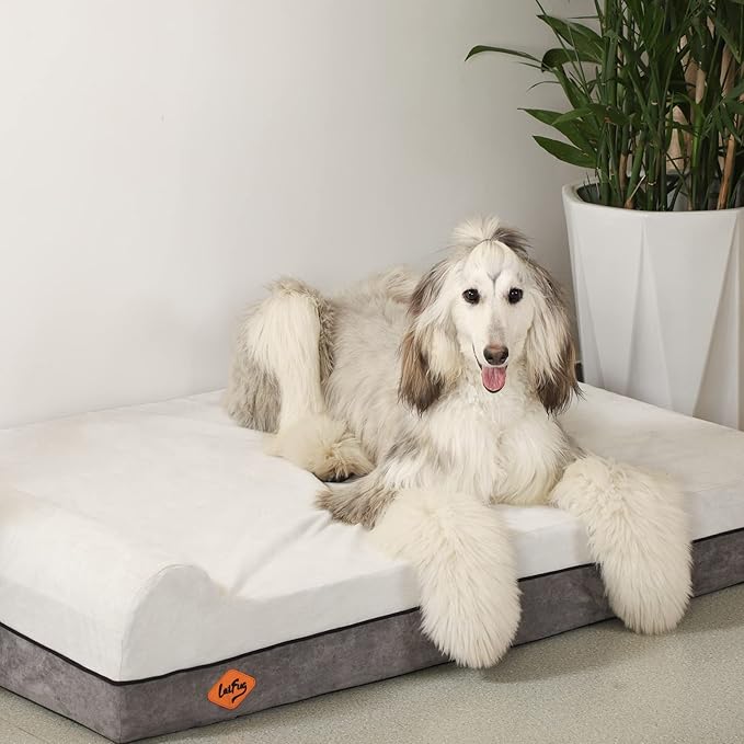 Laifug Orthopedic Memory Foam Dog Bed Extra Large Dog Bed with Pillow and Durable Water Proof Liner & Removable Washable Cover & Smart Design(Dark Grey)