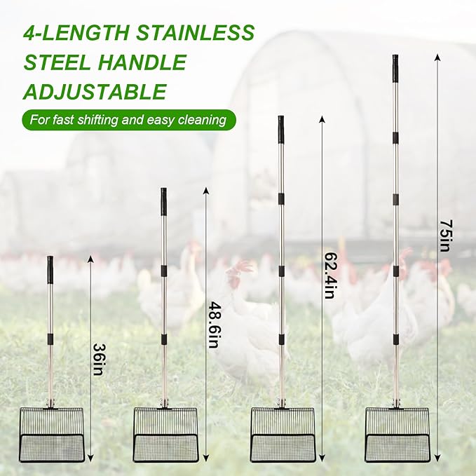 10inch Large Metal Chicken Poop Scooper, 36" to 75" Long Chicken Coop Litter Scoop with Stainless Steel Adjustable Handle, 4 in 1 Detachable Litter Sifting Shovel Scoop for Chicken Coop Accessories