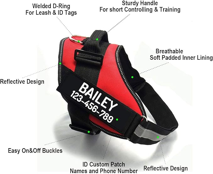 PawPawify Custom No Pull Dog Harness with Name and Phone Number, Heavy Duty Personalized Pet Vest to Prevent Tugging, Pulling, or Choking, Training and Walking (Blue, XS (5-9LBS))