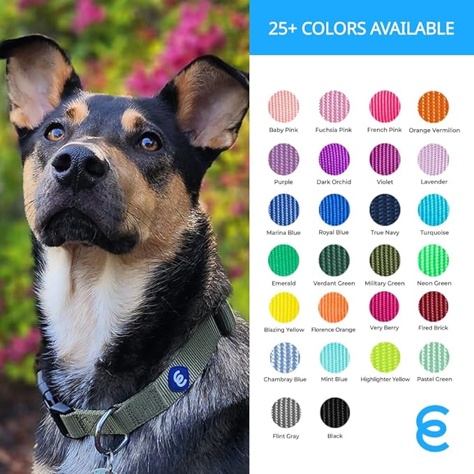 Blueberry Pet Essentials Small Dog Collar in Baby Pink | Adjustable & Eco-Friendly Durable Nylon Strap | Classic Collar for Small Dogs, Boy & Girl Pets