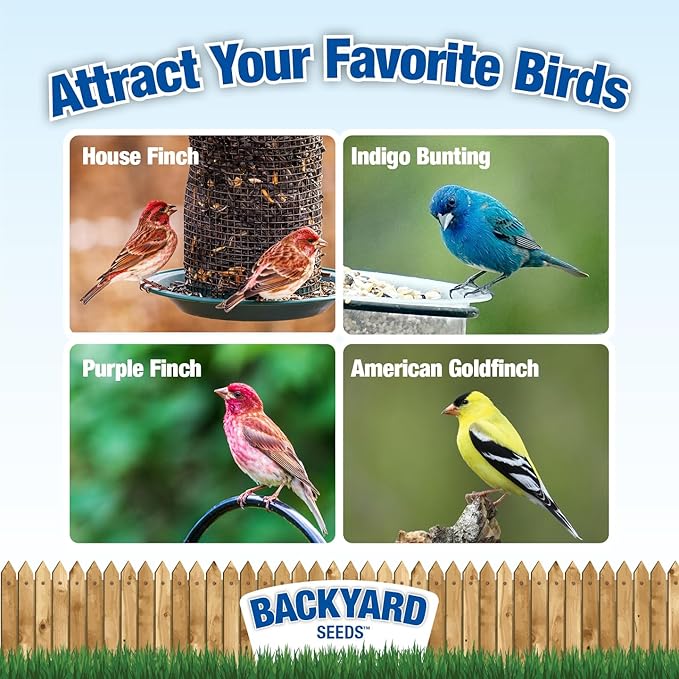 CountryMax Thistle Wild Bird Seed 40 lb – Premium Quality, 100% Clean, No Debris – Attracts Finches & Small Songbirds