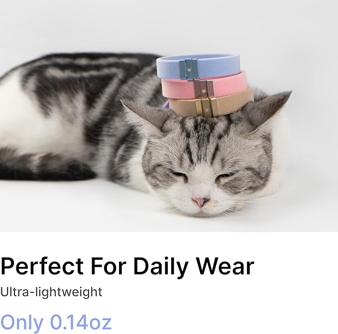 Safety Cat Collar - U.S. IDA Gold Awarding Design, Stretch Elastic Quick Release, Non Breakaway - Light Weight for Kitten, Neck Fit 5.9'-11.8' for All Small Large Cat,S(Alpine Green)