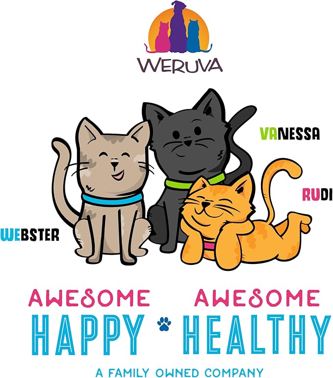 Weruva B.F.F. OMG - Best Feline Friend Oh My Gravy!, Purr-FECT Plannin'! with Chicken, Turkey & Salmon in Gravy Cat Food, 2.8oz Pouch (Pack of 12)