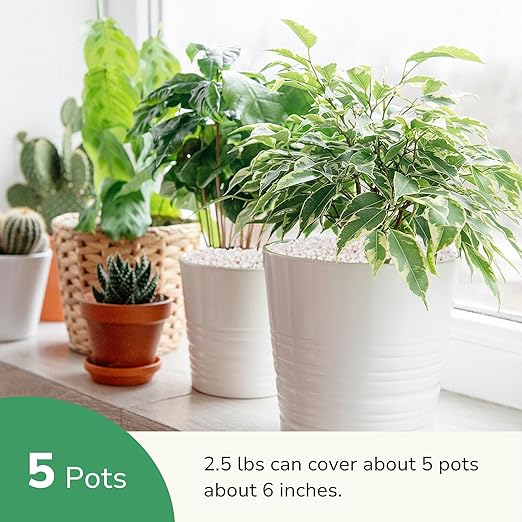 GreatBuddy 2.5-lb Decorative Rocks for Indoor Plants, 3/8" White Pebbles, Small Rocks for Potted Plants, Succulent, Vases, Aquariums, Fish Tanks, Garden Landscaping, Natural Polished