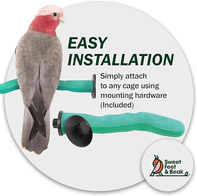 Sweet Feet & Beak Safety Pumice Bird Perch, X-Small 1/2" X 6", Blue - Lightweight Grinding Bird Perches for Cage - Bird Nail Trimming Perch for Healthy Beak & Feet - Multi-Size & Color Parrot Stand