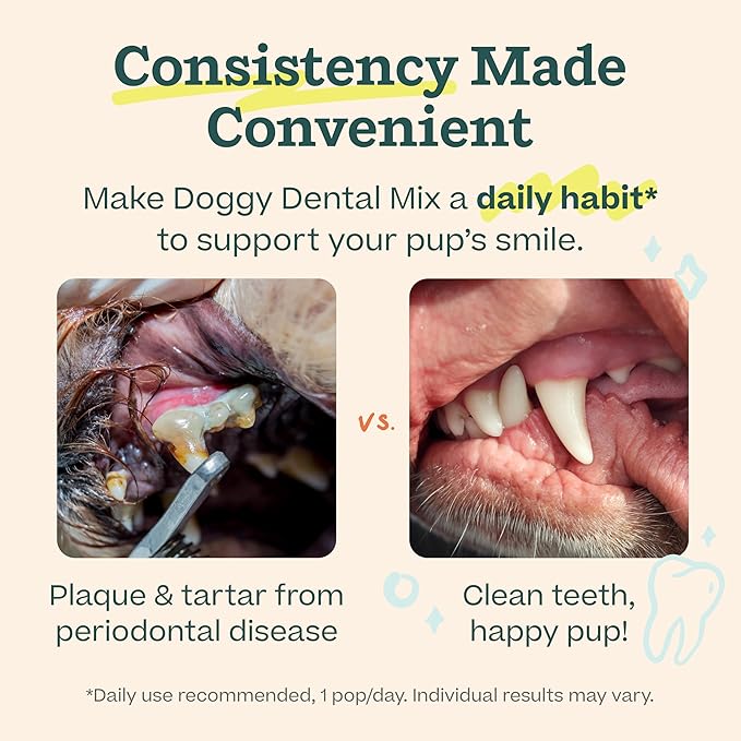 WOOF Dental Kit- Includes Pupsicle Dog Toy, Treat Tray, Shaker Bottle, Chicken Pupsicle Pops, and Dog Teeth Cleaning Powder - Supports Oral Health for Dogs - Large