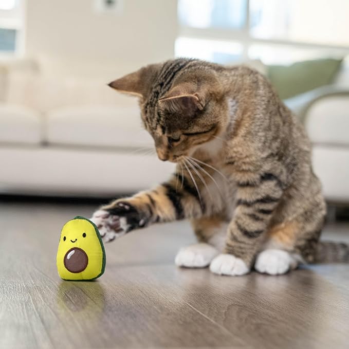 Catstages Lil' Avocato Cat Toy, Interactive Plush Avocado with Catnip, Kicker & Chew Toy for Indoor Cats, Encourages Active Play, Mental Stimulation, Dental Health, and Solo Fun, Green