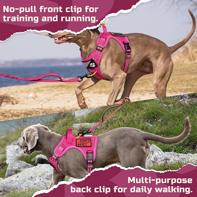 rabbitgoo Tactical Dog Harness for Small Dogs, No Pull Military Service Vest with Handle & Molle, Easy Control for Training Walking, Adjustable Reflective Straps, Rose Red, S