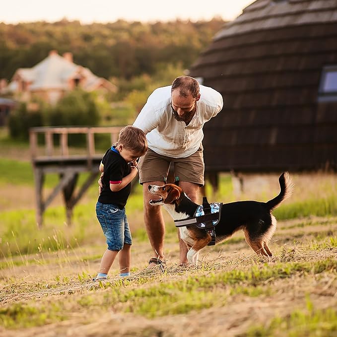 Dogline Dog Harness, Reflective No-Pull Adjustable Vest with Handle for Walking, Training, Breathable, No - Choke Harness for Small, Medium or Large Dogs Room for Patches Girth 22"-28" in Blue Camo