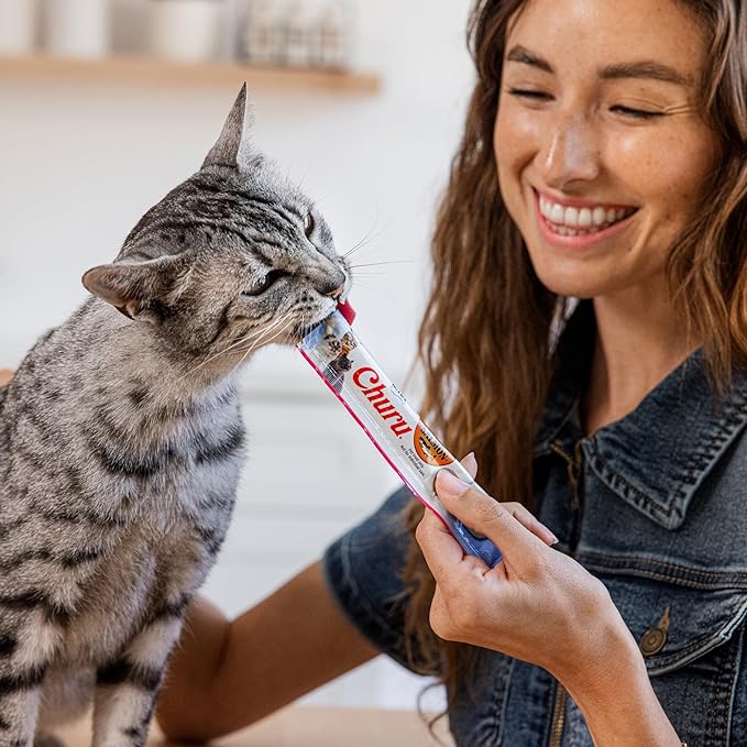 INABA Salmon Churu Cat Treats, Lickable, Squeezable Creamy Purée Cat Treat with Green Tea Extract & Taurine, 0.5 Ounces Each Tube, 24 Tubes (4 per Pack), Salmon with Chicken Recipe