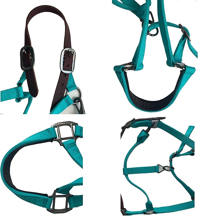 Majestic Ally Leather Halter with Matching Lead Rope for Horses – Leather Breakaway Crown - Adjustable Chin Strap – Rolled Throat Latch – Padded Noseband – Full (Black-Black Nickel, Full)