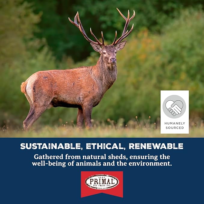 Primal Antlers for Dogs, Grade A Split Stag Antlers for Large Canines 30-45 lb, Natural Chews for Aggressive Chewers, Naturally Shed, Long Lasting Dog Bones, 1 ct