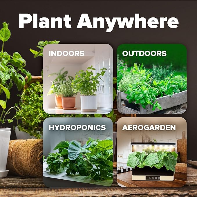 HOME GROWN 𝗨𝗦𝗔 𝗣𝗥𝗘𝗠𝗜𝗨𝗠 15 Heirloom Vegetable Seeds 7,000+ 𝗡𝗢𝗡-𝗚𝗠𝗢 Seeds for Planting, Survival Garden Pack for Preppers, Emergency Bugout Gear, Indoor Outdoor Vegetable Gardening Kit