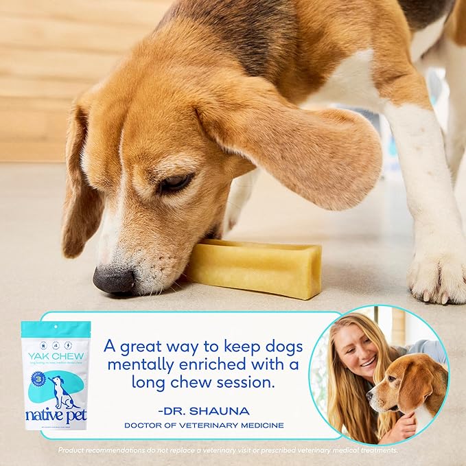 Native Pet Yak Cheese Himalayan Dog Chews - Long Lasting Dental Sticks for Small Breeds– 100% All Natural Himalayan Yak Chews for Small Dogs – Cheese Bone for Aggressive Chewers - 15 Per Pack
