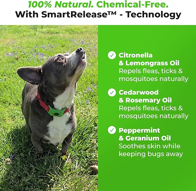 FurLife Green Dog Tag, Flea and Tick Prevention for Dogs - Waterproof Pendant for Collar, Safe for All Breeds