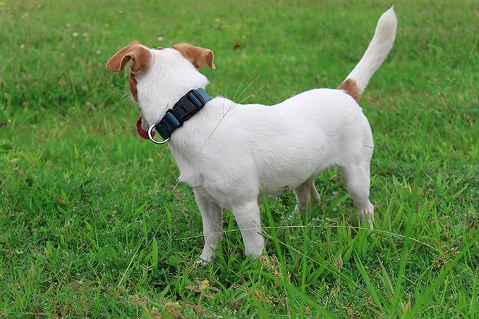 Mikivery Nylon Dog Collar with Quick Release Buckle Soft Adjustable Sturdy for Small Medium Large Dogs Haze Blue,M