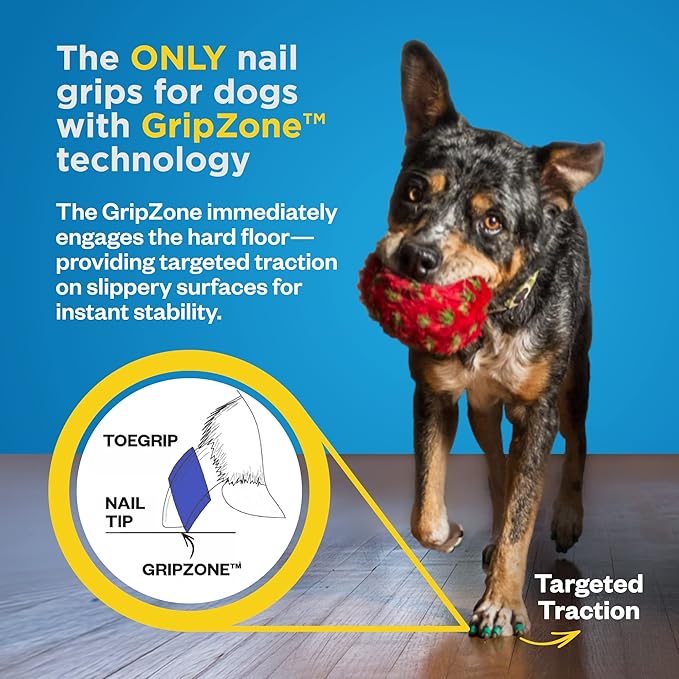 Dr Buzby's Large ToeGrips for Dogs - Instant Traction on Wood/Hardwood Floors - Anti Slip Relief - Grippers for Senior Dogs - Stop Sliding Instantly - Rubber Nails for Paws - 1 Pack (20 Grips)