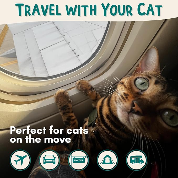 Portable Travel Litter Bag, No Mess, Small & Collapsible Bag to Carry Litter, Leak Proof Kit for Cat Litter, Essentials for Traveling with Cats, Travel Litter Box for Car, Plane with Cat