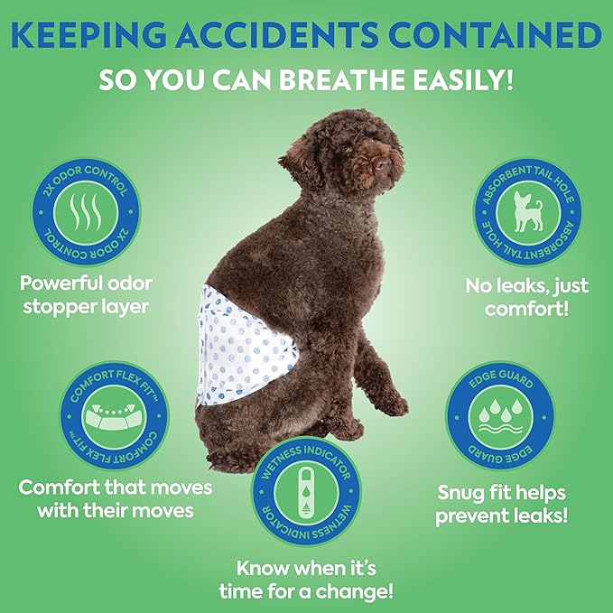 OUT! PetCare Disposable Dog Diapers Male, Puppy Belly Band, Potty Training, Doggie Diapers, Belly Bands for Male Dogs, Puppy Training, Incontinence, (M/L, 96ct)