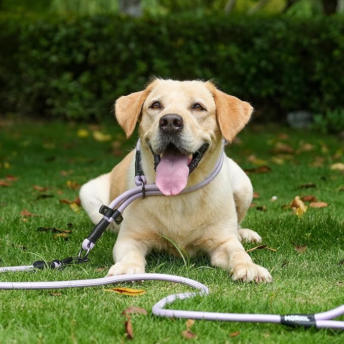 Rope Dog Leash, 4 ft Heavy Duty Dog Leash with Aviation Aluminum Auto Locking Carabiner, Strong Nylon Pet Lead for Small, Medium, Large Dogs (Brown, 4FT)