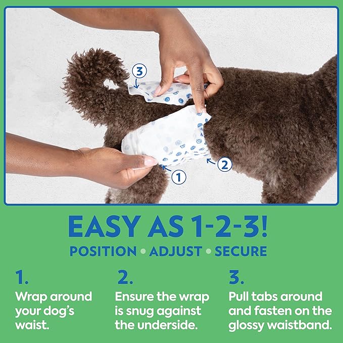 Out! PetCare Disposable Dog Diapers Male, Puppy Belly Band, Potty Training, Doggie Diapers, Belly Bands for Male Dogs, Puppy Training, Incontinence, (XS/S, 12ct)