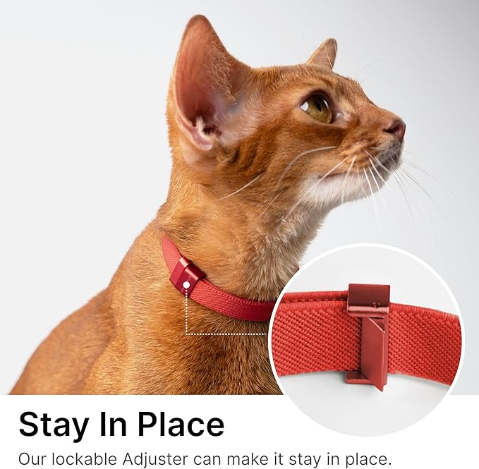 Safety Cat Collar Pro, Lightweight Elastic Release Non Breakaway Cat Collar Adjustable with Snap Fastener for Kitten All Small Large Cats, US IDA Gold Award (Burgundy, M 7.9-15.7")
