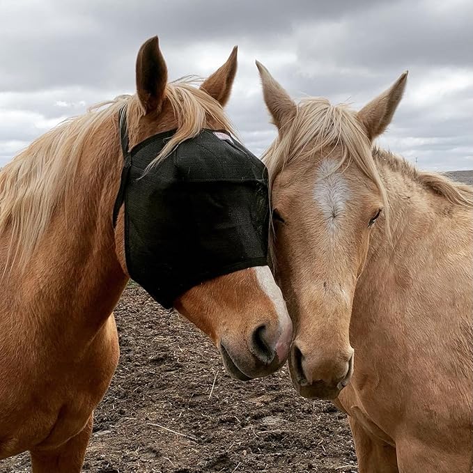 EquiVizor 95% UV Eye Protection (XL) Standard Horse Fly Mask - Help with Uveitis, Corneal Ulcer, Light Sensitivity. Designed to Stay On Your Horse.