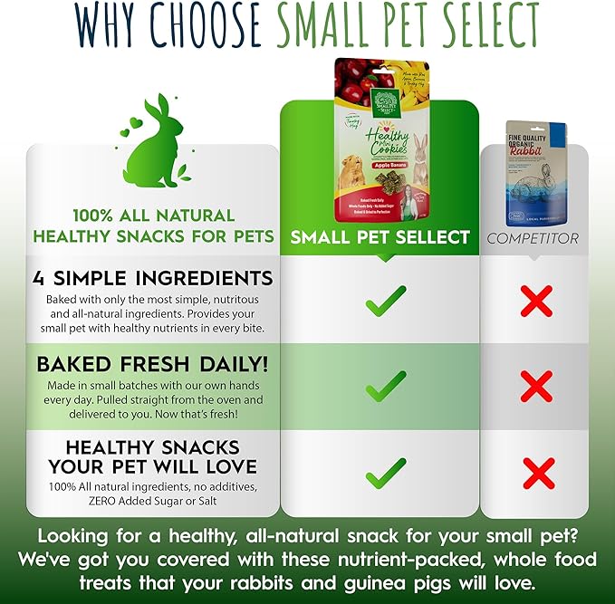 Small Pet Select Healthy Snackers Mini Cookies- Apple Banana, 2 oz (Pack of 2)