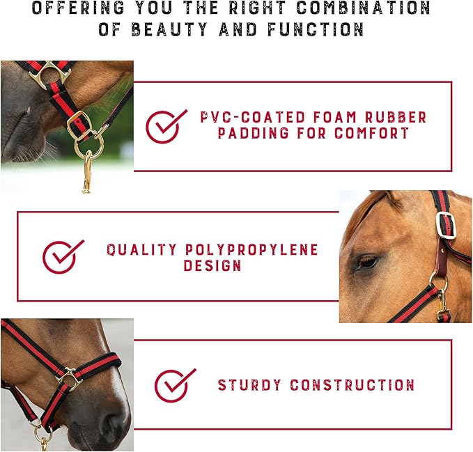 Weaver Equine Breakaway Horse Halter, Comfort Foam Padding, Adjustable Chin & Throat Snap Halters for Horses, Equine Tack,Average Size, Blue