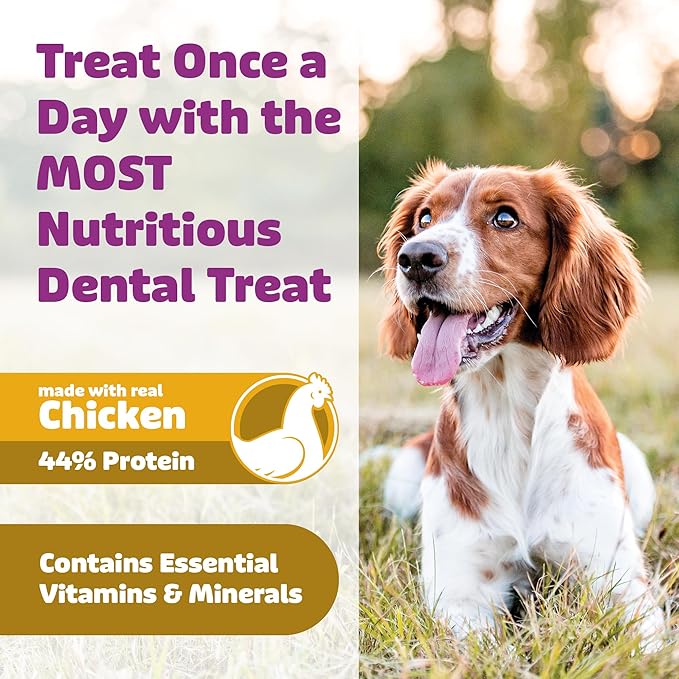 Dog Dental Treats – Vet VOHC Approved – Delicious Chicken Protein – Removes Tartar with Cleaning Comb Shape – Dental Dog Treats for Medium Dogs (12oz, 15 Count)