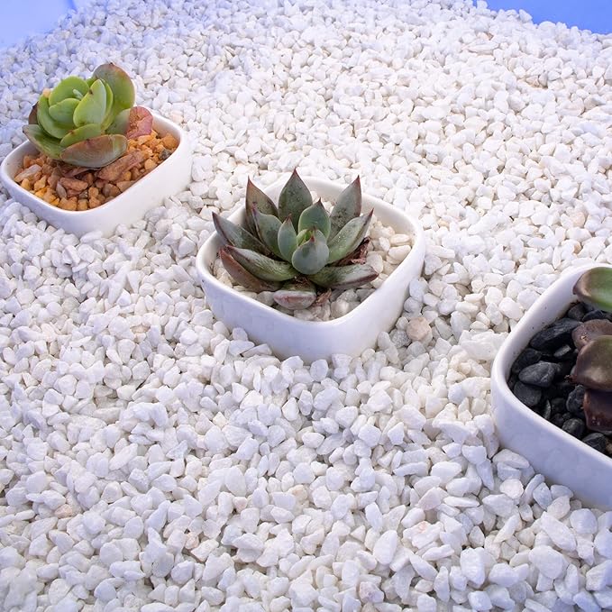 18lb White Cactus Pea Gravel Rocks,1/4 Inch Pebbles for Indoor Plants, Natural Succulent Rock and River Rocks Decorative for Aquariums, Vases, Outdoor Gardening, Top Dressing for Potted Plants