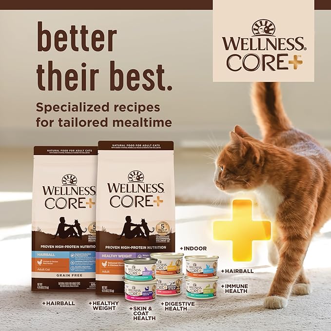 Wellness CORE+ Digestive Health Pate Adult Wet Cat Food, Natural, Protein-Rich, Grain Free, 3 Ounce, 12 Pack (Salmon & Whitefish Variety Pack)