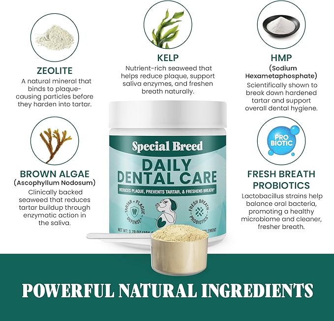 Dog Teeth Cleaning Powder – Natural Dog Dental Powder for Tartar Control, Fresh Breath & Gum Health – Daily Plaque Remover with Zeolite, Brown Algae, Probiotics & Rosemary – 180 Scoops